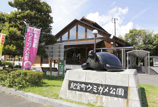 ウミガメ公園