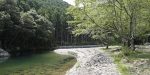 夏の大里親水公園