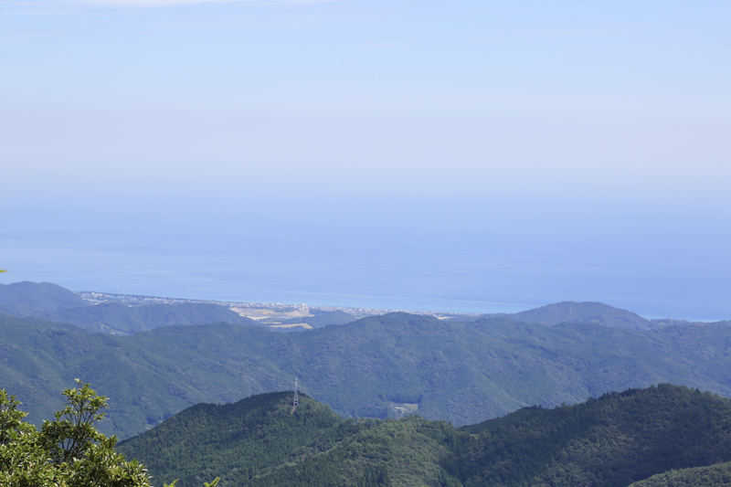 山頂からの景色