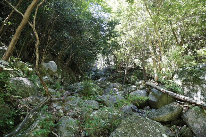 桐原登山口写真