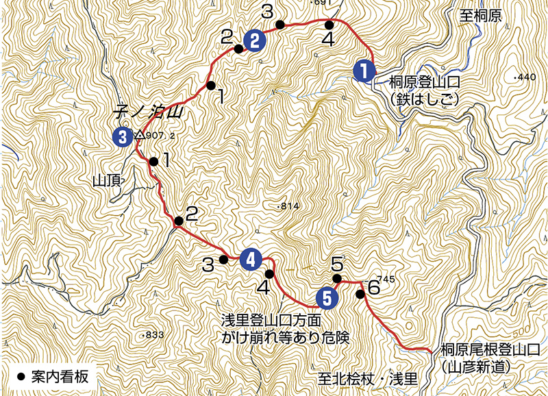 子ノ泊山登山ルート