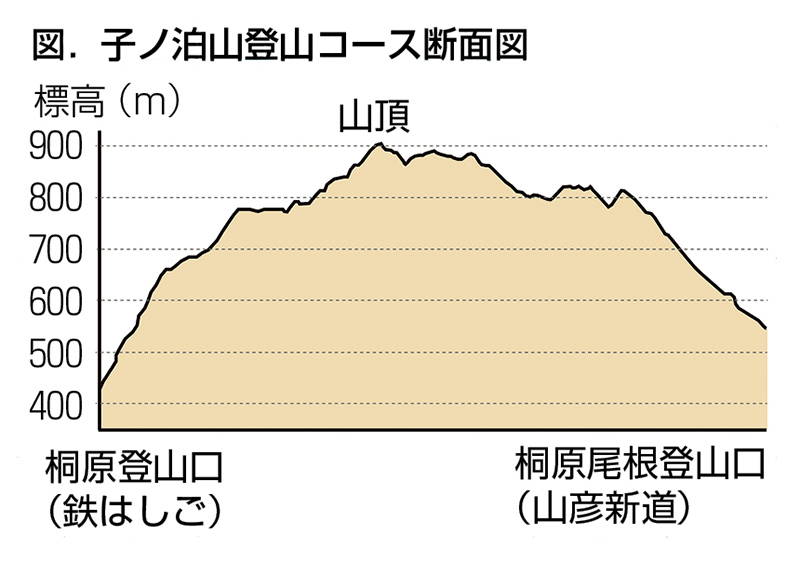 登山断面図