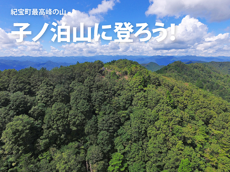 子ノ泊山登山タイトル