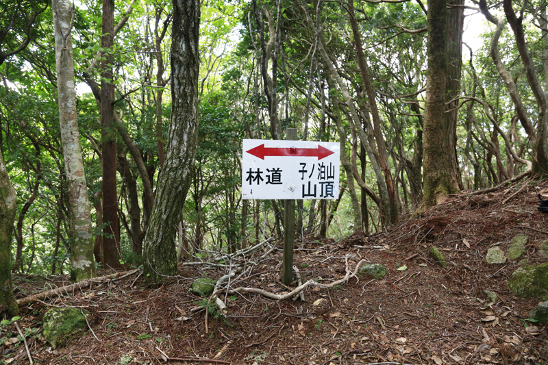 登山看板写真