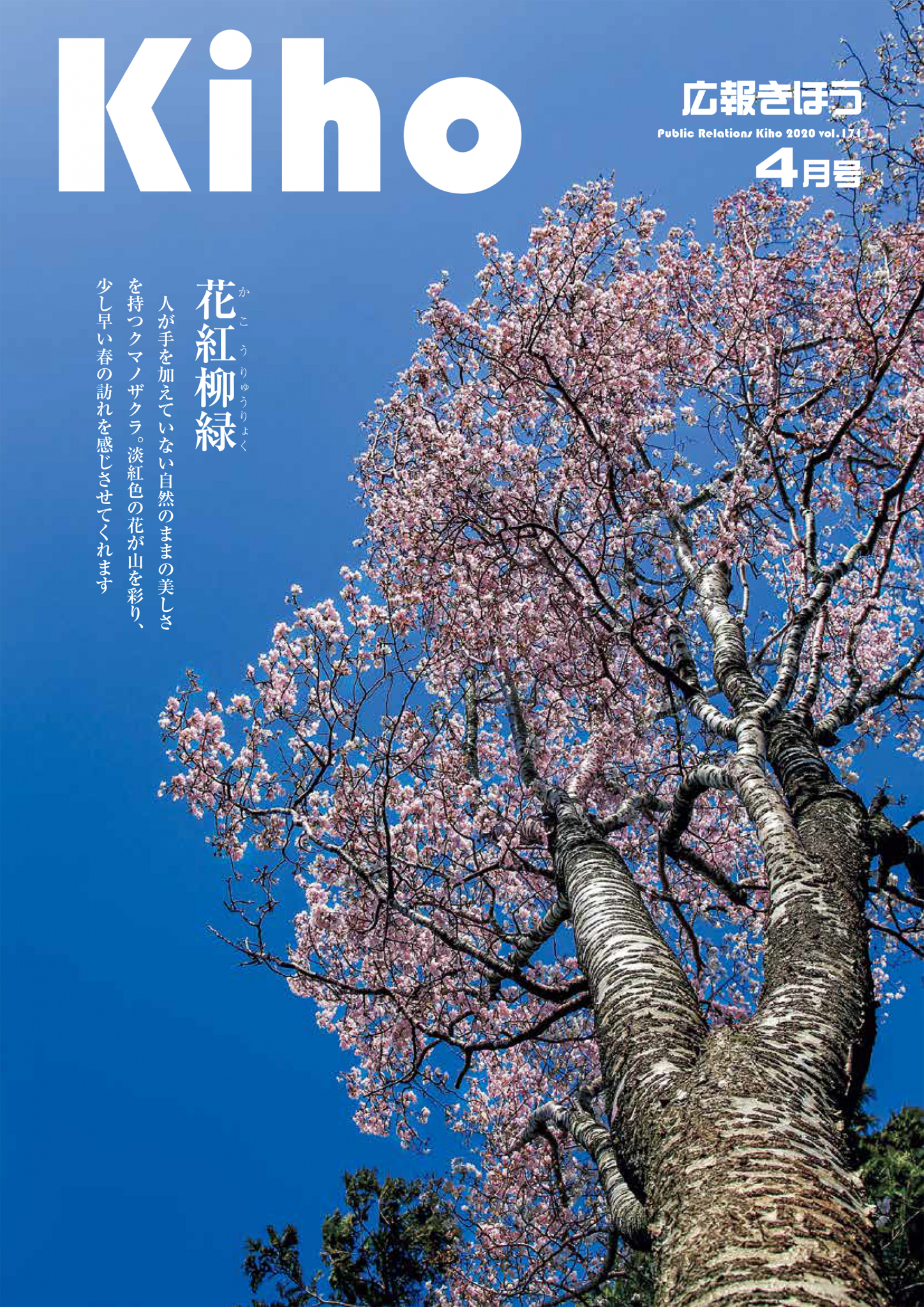 令和2年4月号