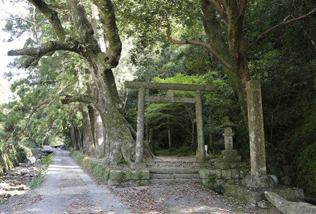 神内神社２